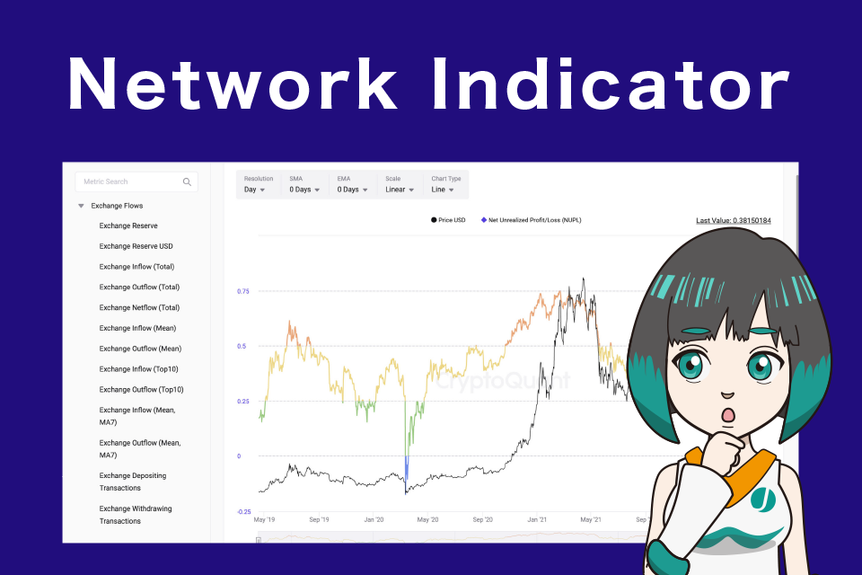 Network Indicatorの見方/使い方