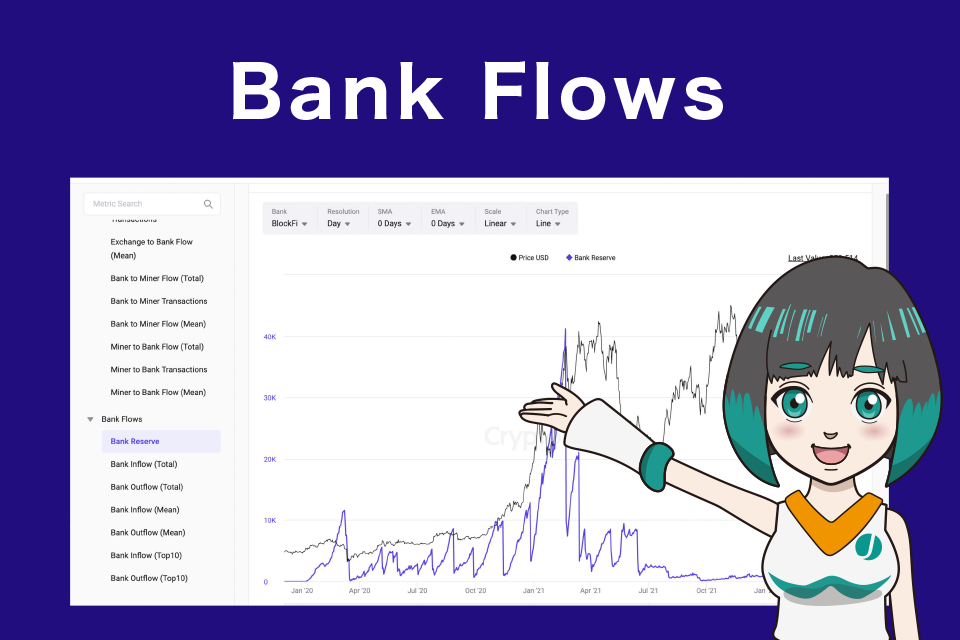 Bank Flowsの見方/使い方