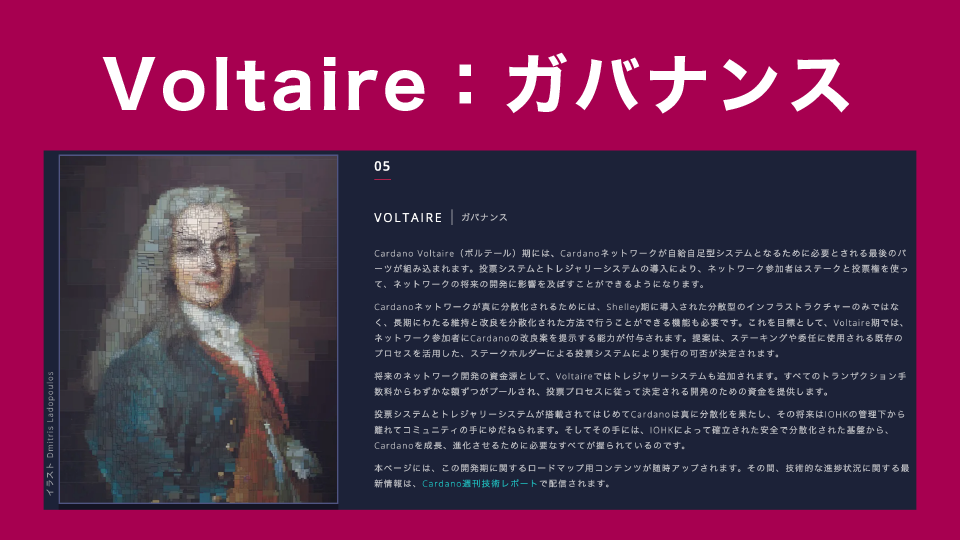 Voltaire（ボルテール）：ガバナンス