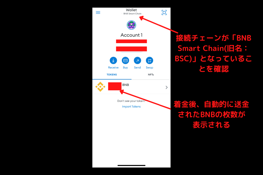 画像5：BSCエコシステムDApp「メタマスクでBSC接続2」
