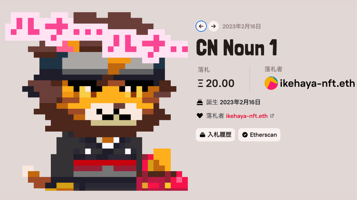 CN nouns落札ページ