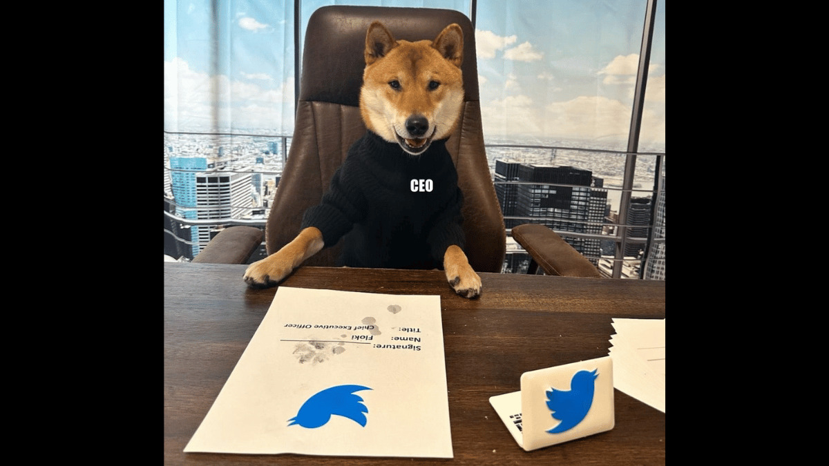 Dogeの犬とツイッター社ロゴ