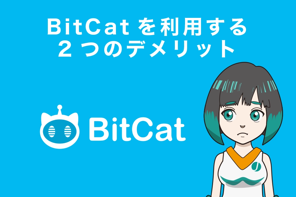 BitCatを利用する2つのデメリット