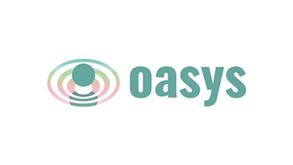 ゲーム開発基盤に「Oasys」を採用