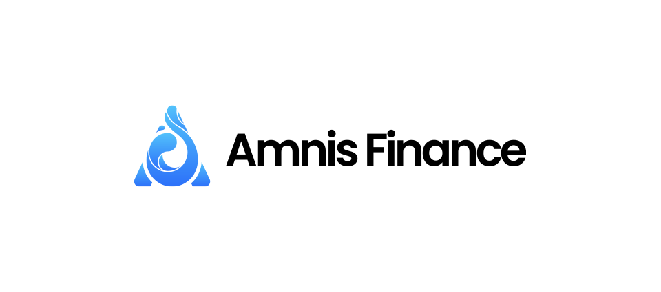 Amnisfinance