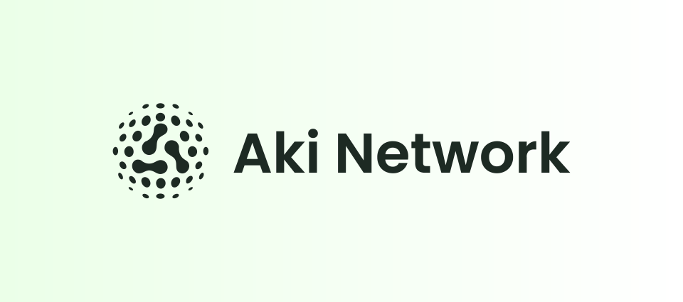 Aki Network（アキ ネットワーク）とは？特徴や将来性