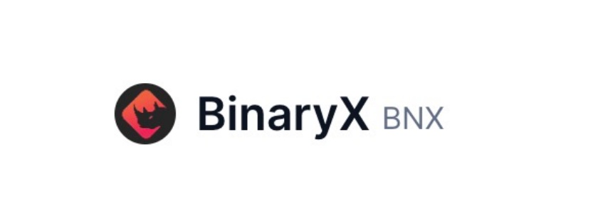 BinaryX （BNX）