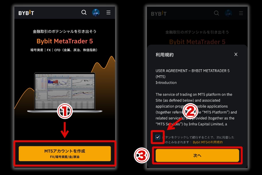画像5：BybitMT5「MT5アカウントの作成2」
