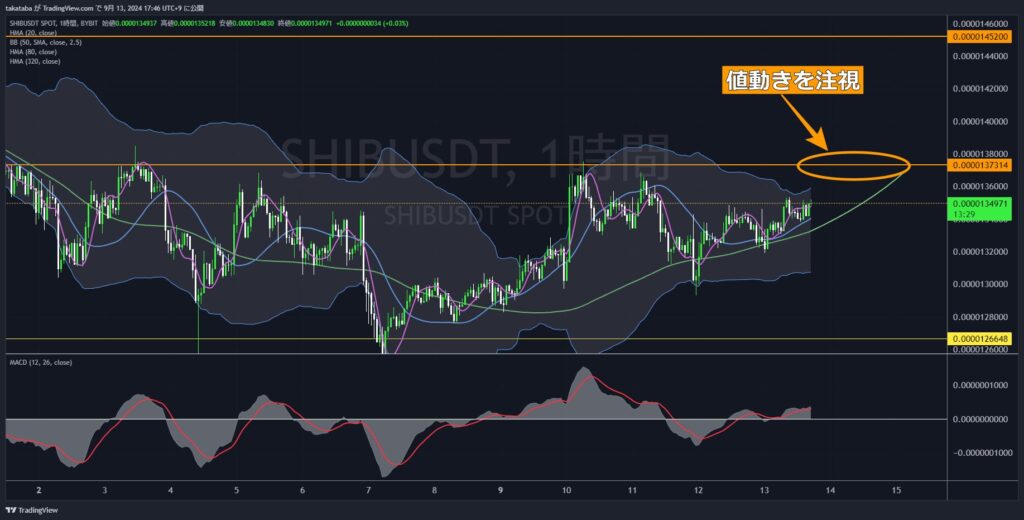 SHIBUSDT1時間足-2024-09-13
