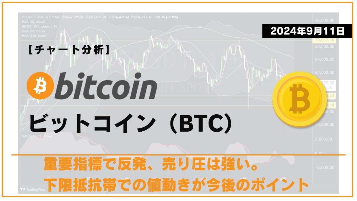 BTC相場分析-2024-09-11