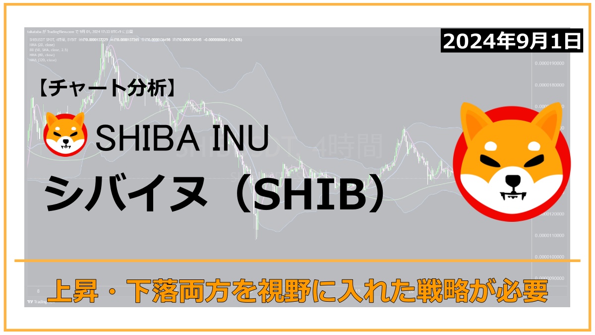 SHIB相場分析2024-09-01