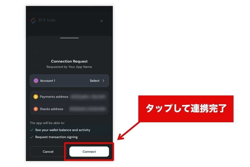 STXTools「ウォレット接続3」